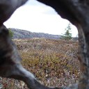 ���������� ������ �� ������� ���� ������ �����