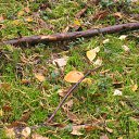 ���� ���, �����-���������, 62 ���� - ��������� 25 �������� 2011 � ������ �������