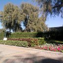 ���� �����, �����-���������, 51 ��� - ��������� 4 ���� 2013 � ������ ���� ����������