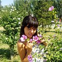 ���� ��������, ����������� - ��������� 31 ��� 2011 � ������ ���� ����������