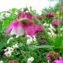 ���� �����, �������, 44 ���� - ��������� 12 ������� 2010 � ������ ������ � ���� ����