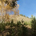  , -, 42  -  31  2011   