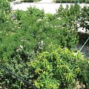 ���� ������, �������� - ��������� 8 ������� 2010 � ������ �������