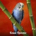 ���� ������ ������, ������, 25 ��� - ��������� 14 ������� 2012