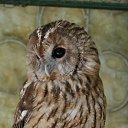  Lena,  -  13  2010   1