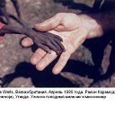 ���� �����, ��������� - ��������� 26 ���� 2013 � ������ ���� ����������