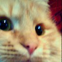 ���� ����, ���������, 22 ���� - ��������� 26 ������� 2012 � ������ ���� ����������