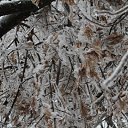 ���� �������, ������ - ��������� 1 ������ 2011 � ������ ��� ����