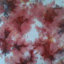 ���� �����, ������ �������� - ��������� 1 ������� 2009 � ������ ������