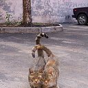 ���� ����� - ���������� ��������!!!, �����������, 56 ��� - ��������� 31 ������� 2009 � ������ �����Ȼ