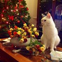 ���� Natali, ���, 66 ��� - ��������� 5 ������ 2013 � ������ ���� ����������