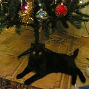 ���� Marzhan Suleymenova, �������, 39 ��� - ��������� 8 ���� 2013 � ������ ����� ��� ������������