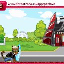 ���� ������, ������, 43 ���� - ��������� 7 ������� 2010 � ������ �PetLove�