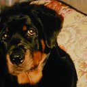 ���� �����, ������, 58 ��� - ��������� 21 ���� 2009 � ������ �����