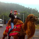 ���� Ditrih 35, ������, 50 ��� - ��������� 12 ���� 2013