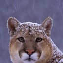 ���� ������, �������, 29 ��� - ��������� 24 ������� 2010 � ������ ���� ����