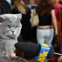 ���� ������, ������, 35 ��� - ��������� 23 ��� 2013 � ������ ���� ����������