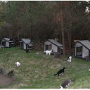 ���� �����, ������, 26 ��� - ��������� 25 ���� 2010 � ������ ���������