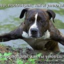 ���� �������, �����������, 59 ��� - ��������� 23 ������� 2012 � ������ �������