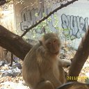 ���� ������� ������� � �����, �������, 54 ���� - ��������� 7 ������� 2011 � ������ ��������