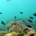 ���� �����, ���������, 48 ��� - ��������� 21 ������� 2012 � ������ ���� ����������