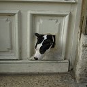 ���� �����, ������, 61 ��� - ��������� 17 ����� 2012