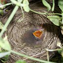 ���� �����, ������, 57 ��� - ��������� 11 ������ 2012 � ������ ������� ����