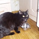 ���� ������, ����������, 25 ��� - ��������� 3 ������� 2011 � ������ ���� ����� ������)))�