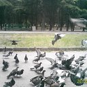 ���� ��������, �������, 45 ��� - ��������� 12 �������� 2011 � ������ �������