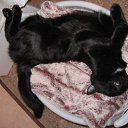 ���� ������, ������, 63 ���� - ��������� 27 ������� 2010 � ������ ���� ����-�����