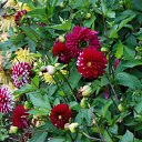  ir@ge))) ))), , 47  -  19  2010   