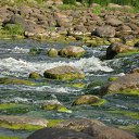 ���� �����, ������� ��������, 63 ���� - ��������� 24 �������� 2011 � ������ �������