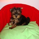 ���� Vladimir, ������, 65 ��� - ��������� 21 �������� 2011 � ������ ���� ����������