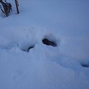 ���� �������, �������, 38 ��� - ��������� 11 ��� 2010 � ������ ���� ����� ����� �������