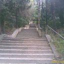 ���� �������, ������������, 56 ��� - ��������� 27 ������� 2010 � ������ �������