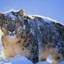 ���� ������, �������, 29 ��� - ��������� 24 ������� 2010 � ������ ���� ����