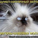 ���� ������, �����������, 51 ��� - ��������� 7 ��� 2012 � ������ �������
