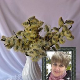 �����, �����-���������, 64 ����