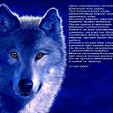 ���� ��� ����� � ��, �����-���������, 59 ��� - ��������� 19 ������ 2010 � ������ �������