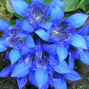 ���� ����, ��������, 48 ��� - ��������� 31 ������ 2012 � ������ ������������