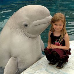 Liviu, �������, 26 ���