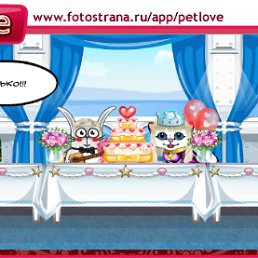 ���� �������, ����, 37 ��� - ��������� 1 ������� 2011