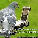 ���� �����, ��������, 40 ��� - ��������� 23 ������� 2010 � ������ �������������