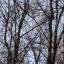 ���� �����, ������, 51 ��� - ��������� 20 ������� 2010 � ������ ������ � ��� ����������