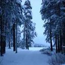 ���� ���������, ���������� - ��������� 10 ������ 2010 � ������ �*** ������� ***�