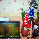  , , 51  -  24  2010    ۻ