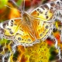  , , 43  -  15  2009   Digital Art Wallpapers