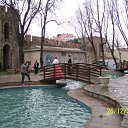 ���� �����, ����������, 59 ��� - ��������� 17 ������ 2011 � ������ �Istanbul 2010�