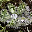 ���� �����, ������, 26 ��� - ��������� 11 �������� 2010 � ������ �����