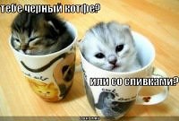 ���� �����, �����-���������, 23 ���� - ��������� 26 ������� 2011